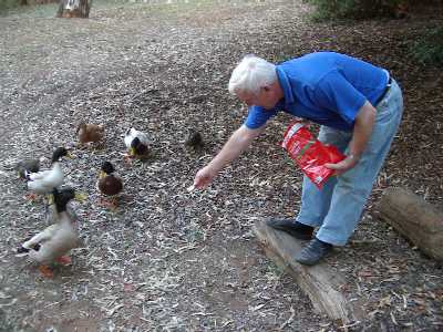 David feeding the ducks in Burra